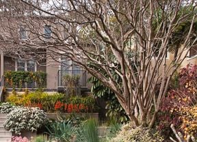 DIY Advice Image - Winter garden ideas . G Drive blob storage upload.