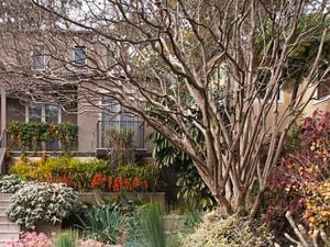 DIY Advice Image - Winter garden ideas . G Drive blob storage upload.