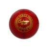 GM Clubman Leather Cricket Ball (White)