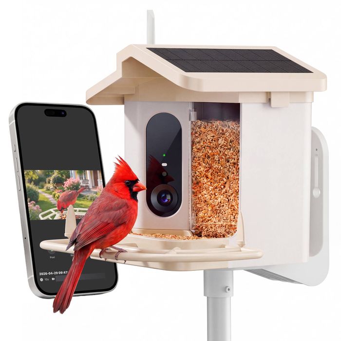 Advwin Smart Bird Feeder with Camera Solar Powered 4K HD Live Video