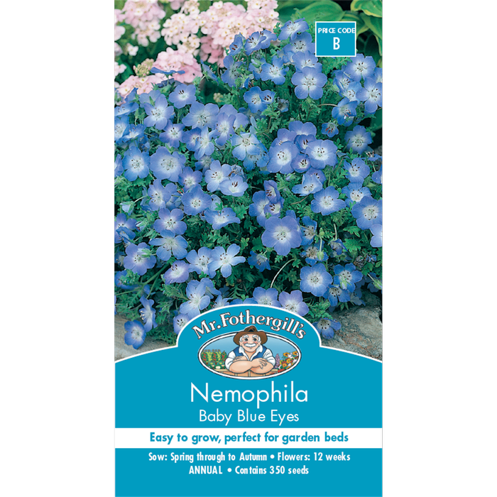 Mr Fothergill's Nemophila Baby Blue Eyes Flower Seeds