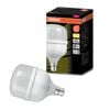 Osram High Watt BC LED 3105Lm WW 27W Light Globe