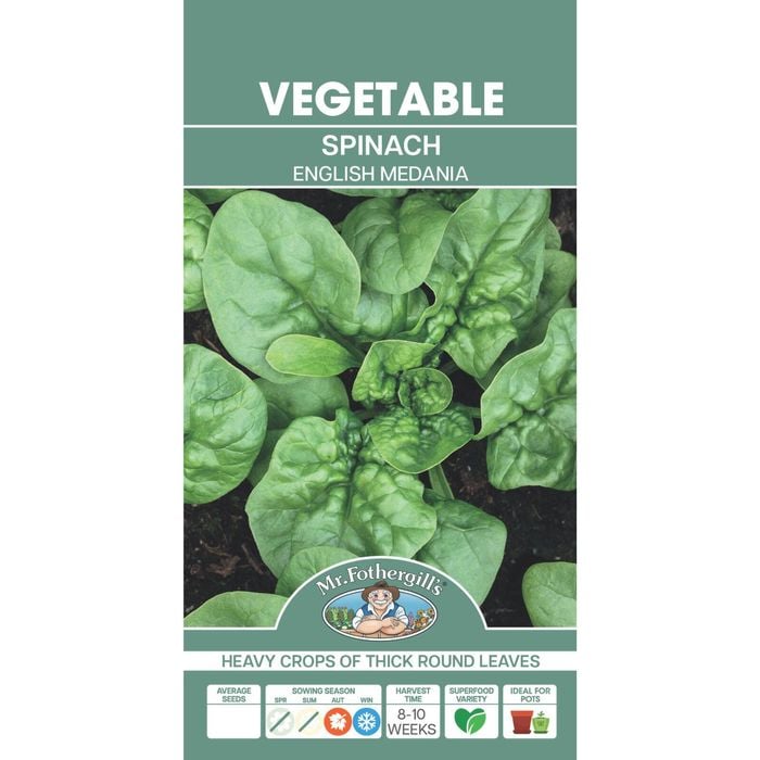 Mr Fothergill's Spinach English Medania Vegetable Seeds