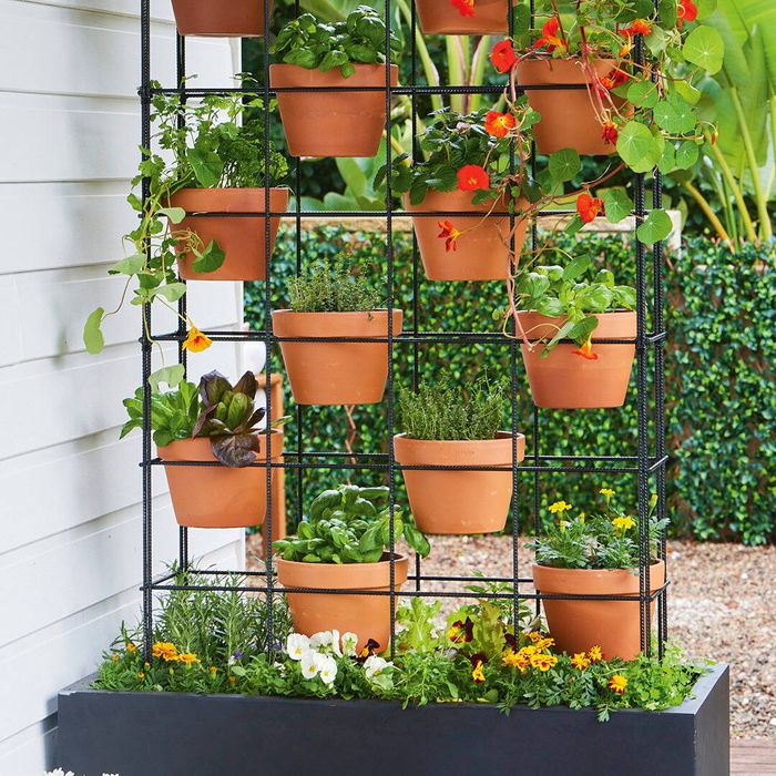 Vertical garden planter featuring terracotta pots filled with herbs, leafy greens and flowering plants arranged on a black metal trellis in an outdoor garden.
