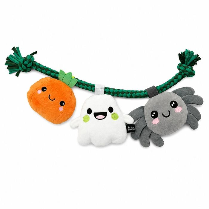 Baxter Bone Pumpkin, Ghost & Spider Trio Pet Toy