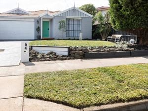 DIY Advice Image - How to lay turf. G Drive blob storage upload.