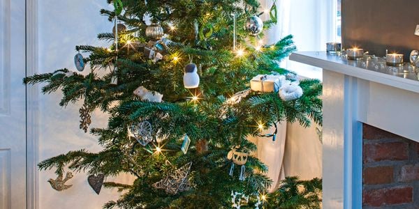 Decorated christmas tree with fairy lights and presents