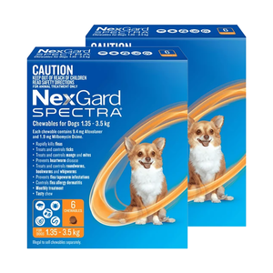 Nexgard Spectra Very Small Dogs (1.35 - 3.5kg) Orange 12 Pack