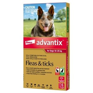 Advantix Dog 10-25kg 6 Pack