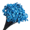 Blooms of Joy 50cm Blue Springstar Flowers