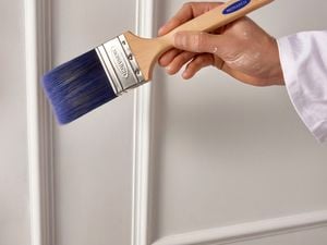Cut straighter lines with the Expertech sash brush.