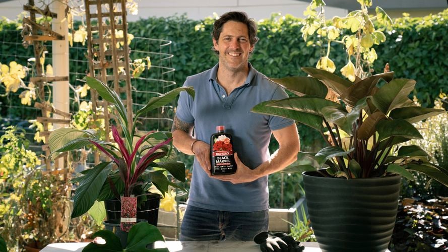 Man showing flower food.
