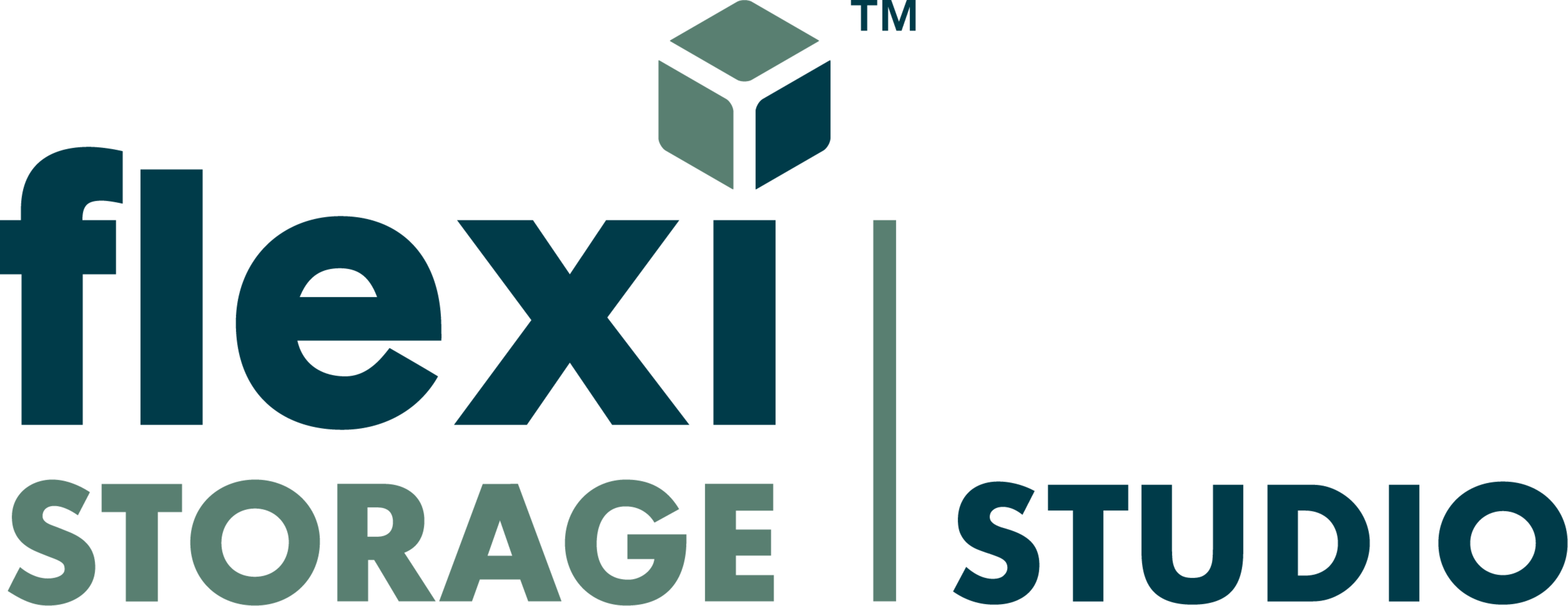 Flexi Storage Studio logo.