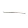 NZ Nails Flat Head  75x3.15mm  2kg 316 S/S Nail