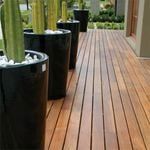 64 x 19mm L/M Decking Spotted Gum KD Standard & Better