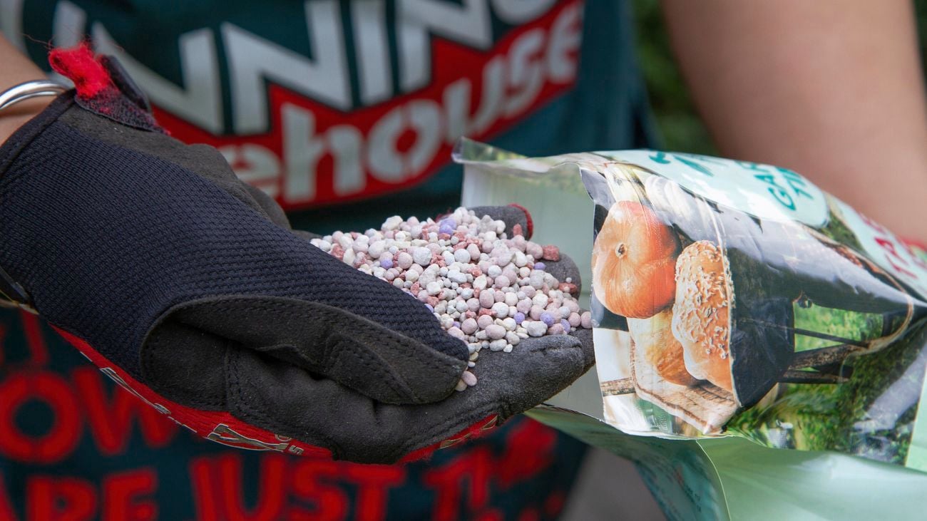 A person getting some granulated fertiliser out of a packet.