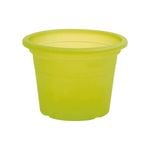 EDEN 15cm Green Transparent Cylinder Planter