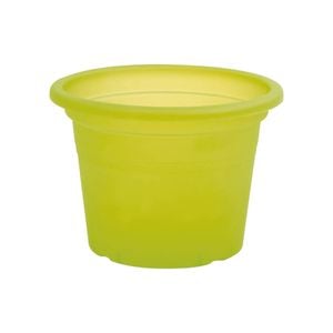 EDEN 15cm Green Transparent Cylinder Planter