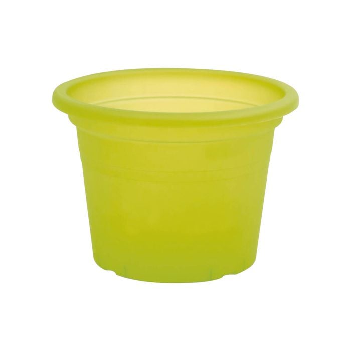 EDEN 15cm Green Transparent Cylinder Planter