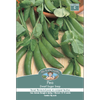 Mr Fothergill's Seed Dwarf Pea Sugar Snap