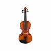 Axiom Concerto Series Violin Outfit - 1/2 Size