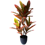UN-REAL 95cm Artificial Petra Croton Tree