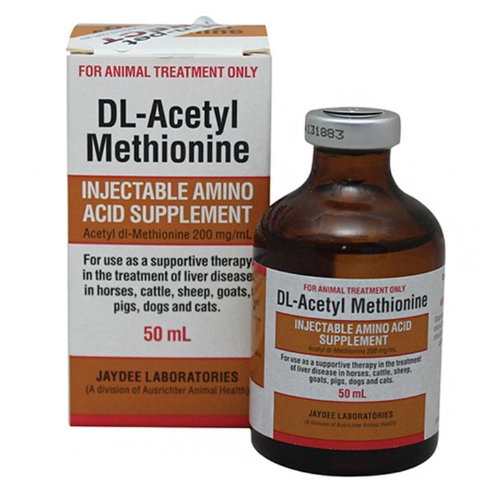 Ausrichter DL Acetyl Methionine 50ml Liver Treatment Dog Cat