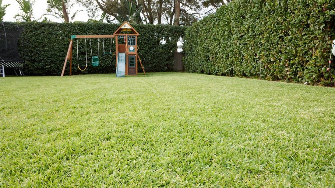 Image of a healthy lawn surrounded by hedges with a playhouse in the background.
