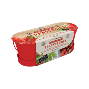 Mr Fothergill's Strawberry Windowsill Tin