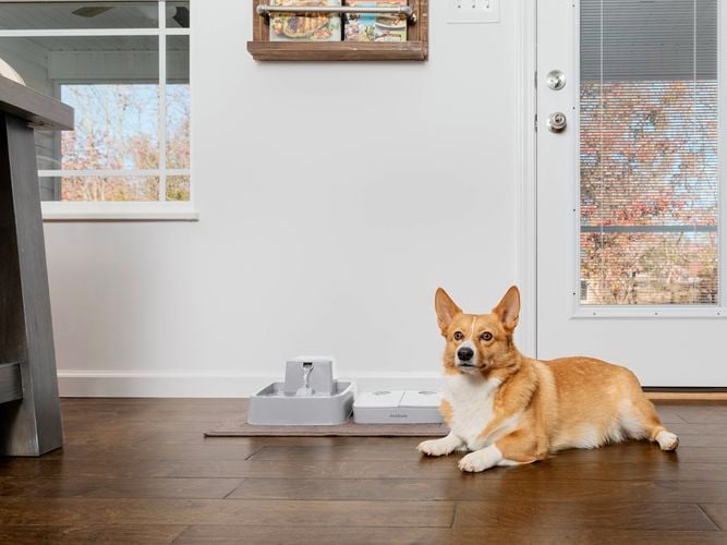 Petsafe- Carousel 4- Brand page