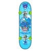 Adrenalin 79 X 20cm Halfpipe Children/teen/adult Skateboard W/wheels Enchilada