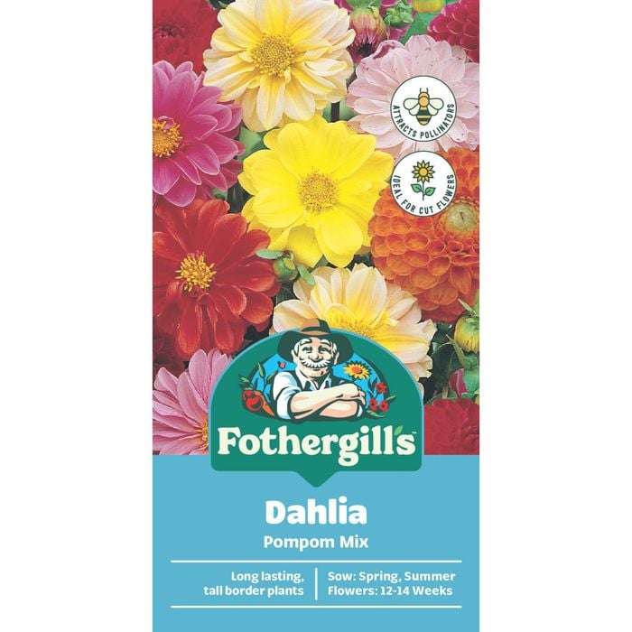 Fothergill's Dahlia Pompon Mix Seeds