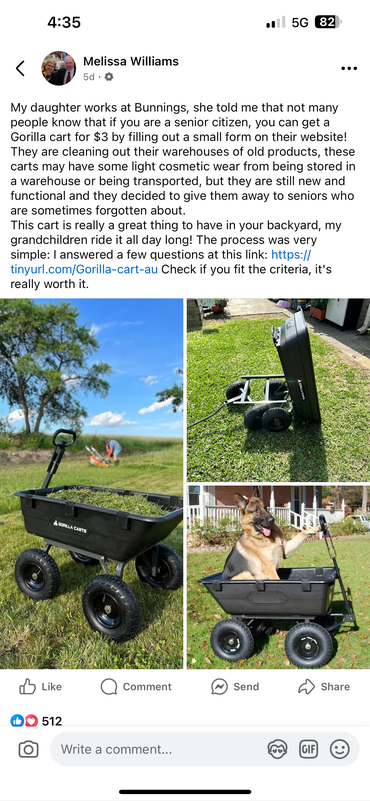 Facebook post scam of trolley cart with dog inside