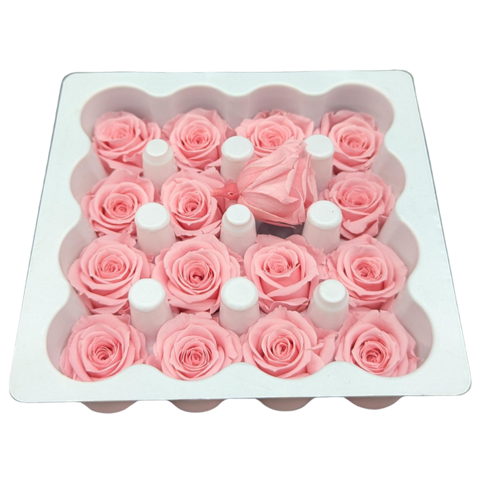 Blooms of Joy 2.5cm Baby Pink Spray Roses 16 Pack