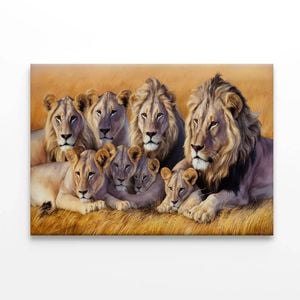 Lions Resting Together  Print 100% Australian Made 90 x 60cm  (Stretched)