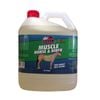Dr Show Muscle Horse & Rider Non-Greasy Fast Acting Refill 4L