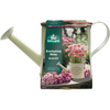 Mr Fothergill's Watering Can Grow Kit - Everlasting Daisy