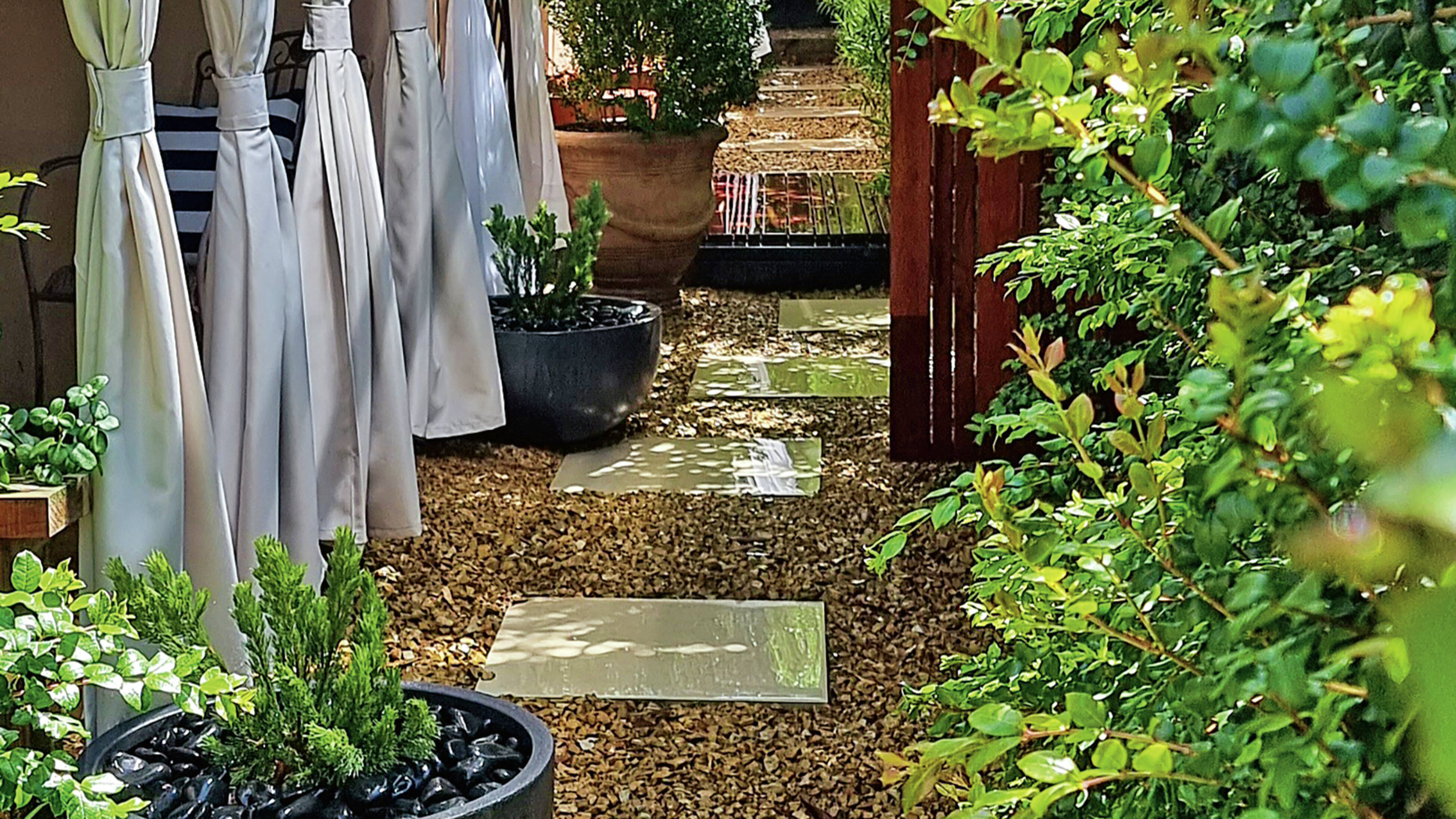 A backyard garden design showcasing wet cream pavers surrounded by pebbles and greenery