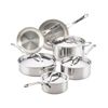 Anolon EverLast(TM) Tri-Ply Clad Stainless Steel Induction 10 Piece Cookware Set