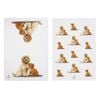 Ashdene Puppy Love Set of 2 Tea Towels - Cavoodle