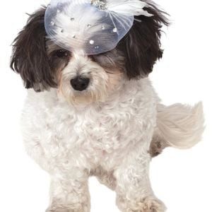 Rubies Fancy Formal Hat for Pet Dog/Cat - Size M-L