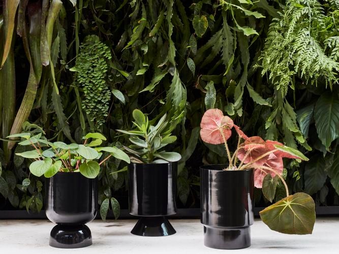 pot range