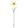 20 x 84cm White Metal Daffodil Decorative Garden Stake