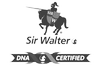 Sir Walter Buffalo