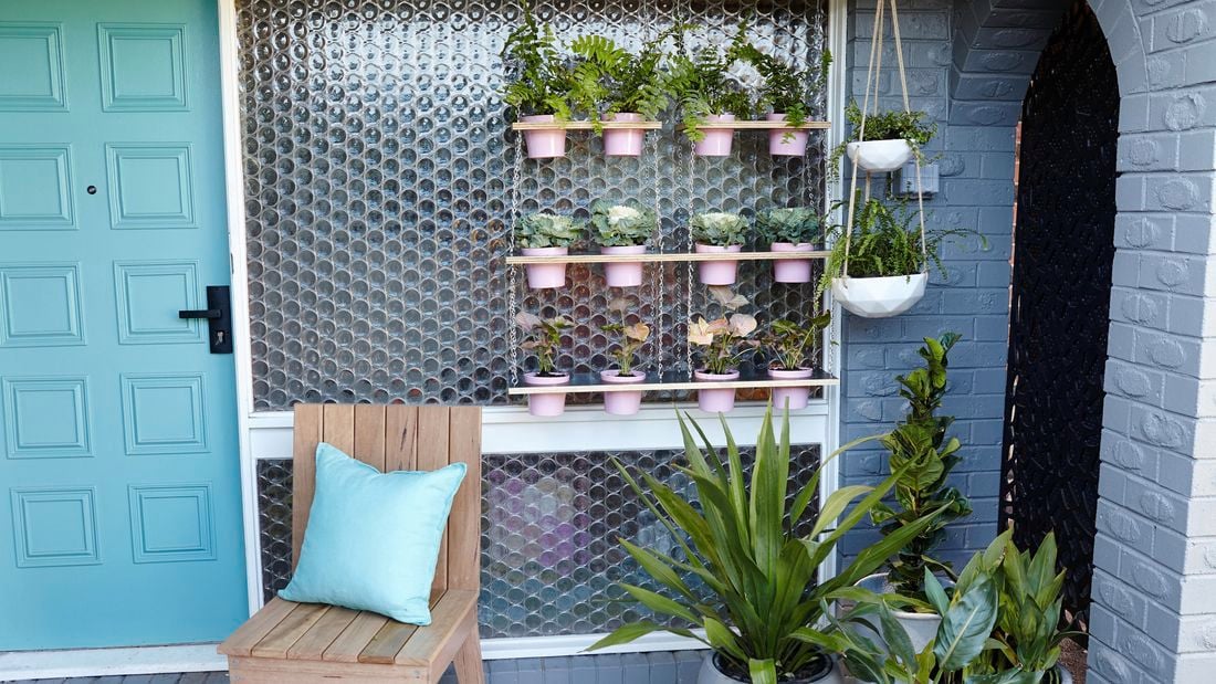 A blue themed outdoor area with a variety of pot plants, some hanging from vertical gardens or hanging baskets
