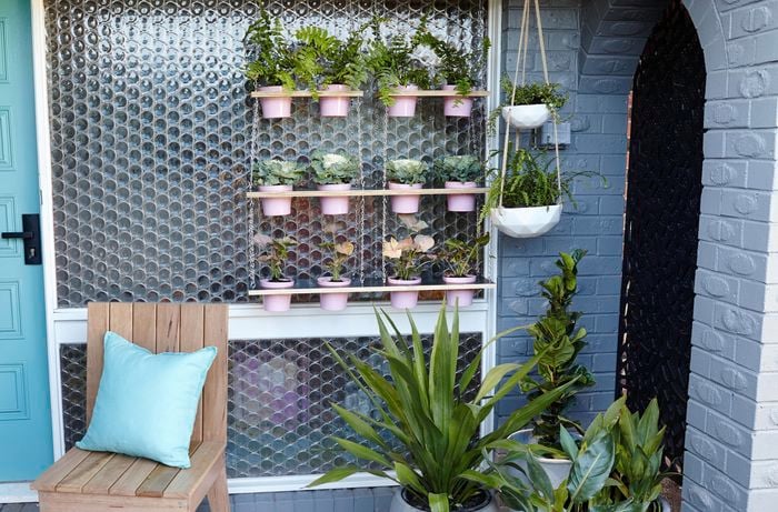 A blue themed outdoor area with a variety of pot plants, some hanging from vertical gardens or hanging baskets