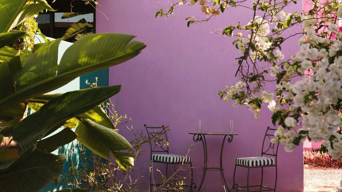 View of an outside purple wall with a metal bistro setting, surrounded by plants and a flowering tree.