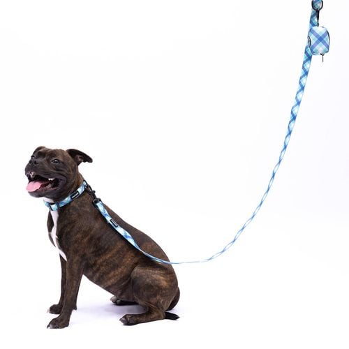 Splosh Frank Barker Teal Gingham XS S Dog Lead 143cm Bunnings Australia