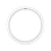 Philips G10 LED 2000Lm Cool White 20W Cicular Globe