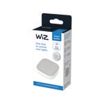 WIZ Remote Smart Globe